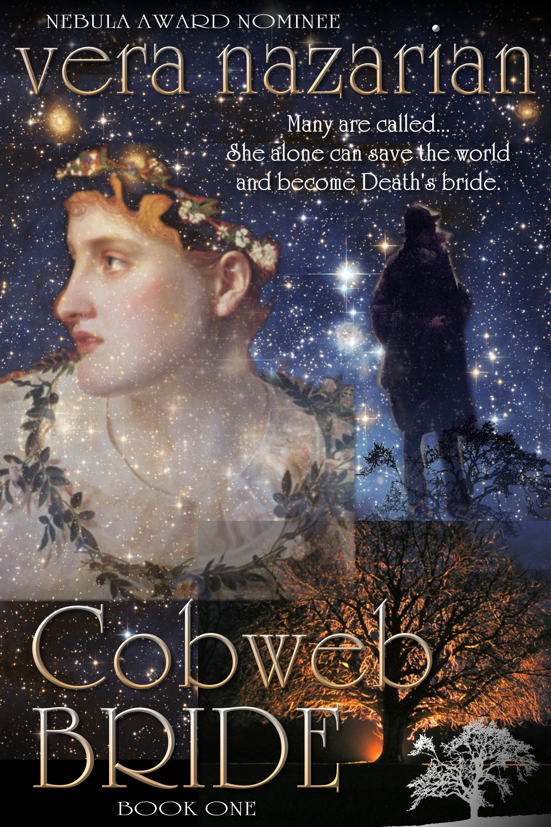 Cobweb Bride, Book One